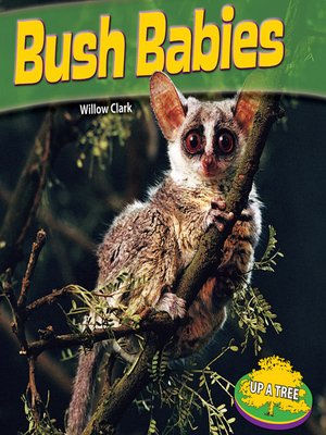 cover image of Bush Babies